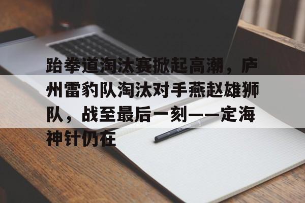 开云入口-跆拳道淘汰赛掀起高潮，庐州雷豹队淘汰对手燕赵雄狮队，战至最后一刻——定海神针仍在的简单介绍